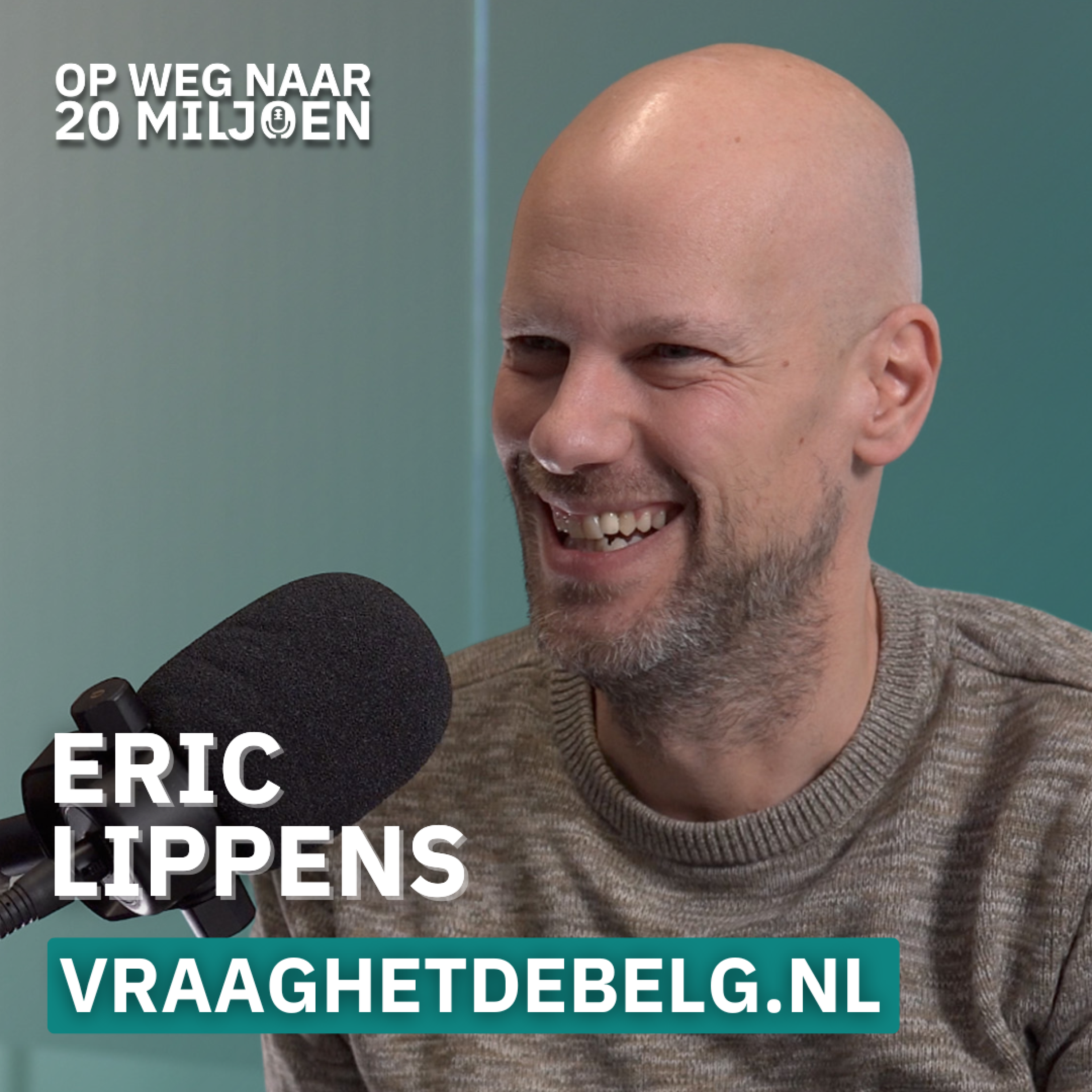 #142 Masterclass: Succes in België met deze 4 stappen | Eric Lippens, Vraaghetdebelg.nl