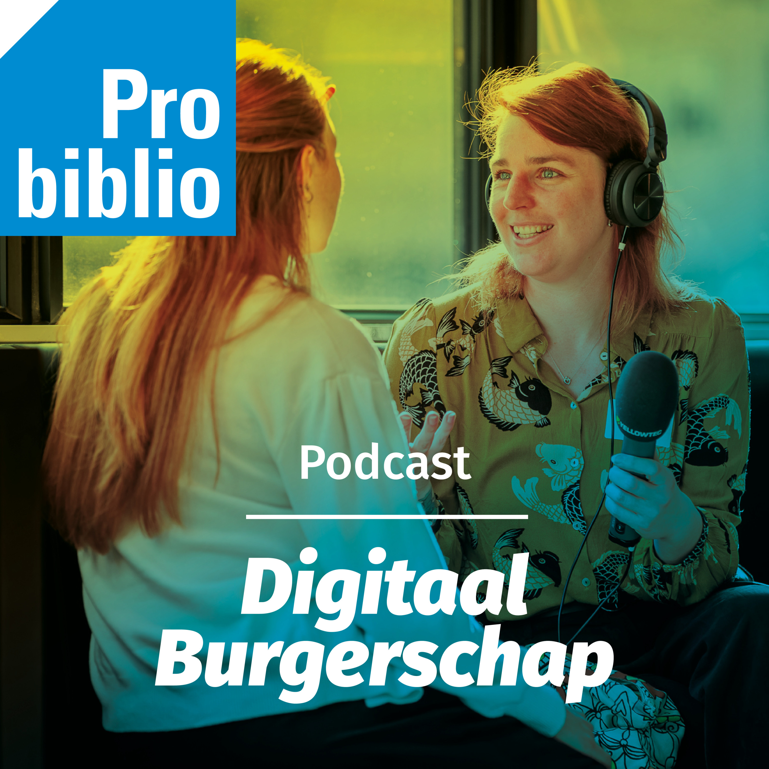 Digitaal burgerschap - Wat betekent actief burgerschap, en hoe kan de bibliotheek hieraan bijdragen? episode artwork