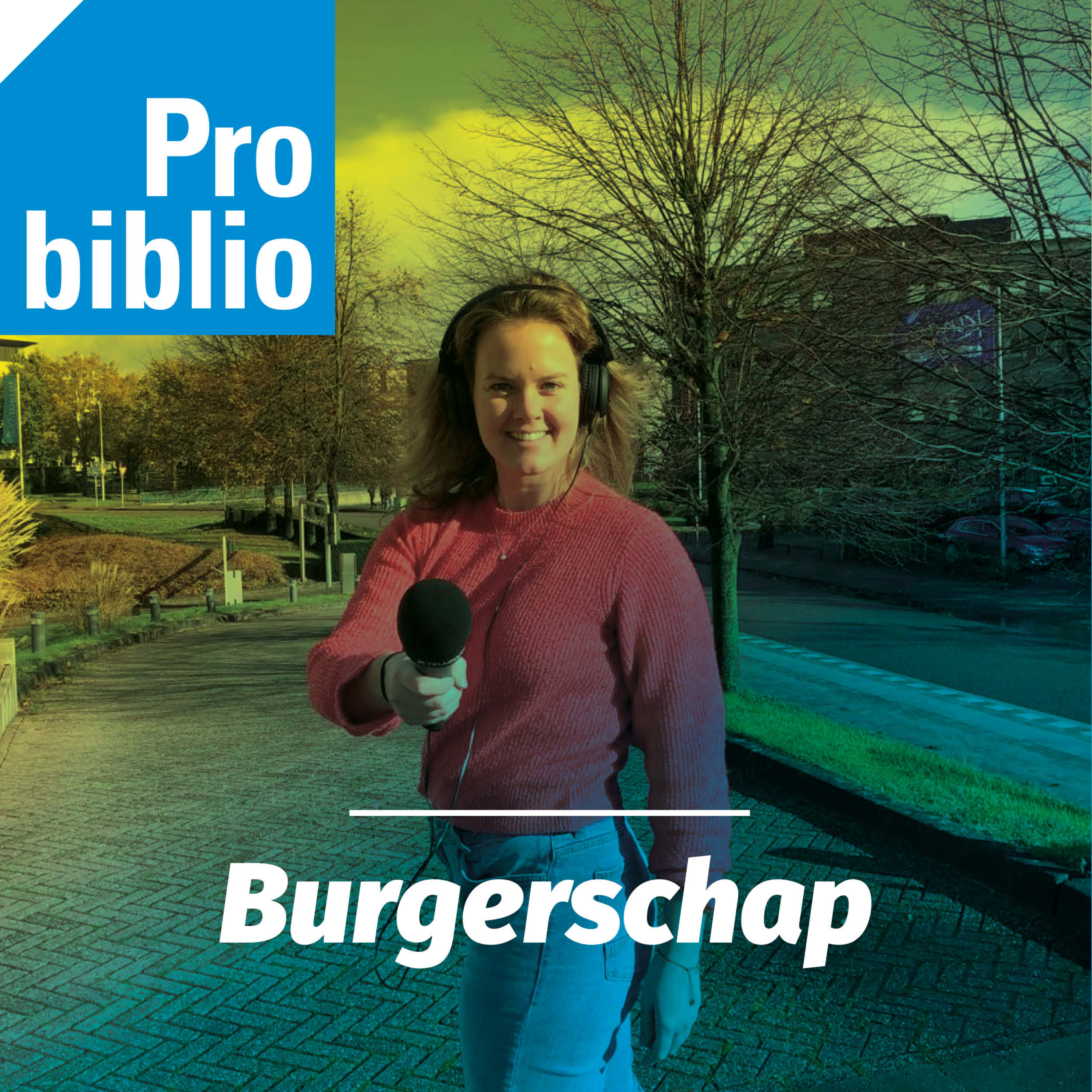 Digitaal burgerschap - Hoe kan een maakplaats bijdragen aan de ontwikkeling van digitale vaardigheden? episode artwork